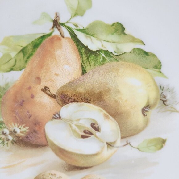 Schumann Arzberg Dessert Plate With Quince Design 7.25" Diameter Fruit Vintage - Picture 2 of 6